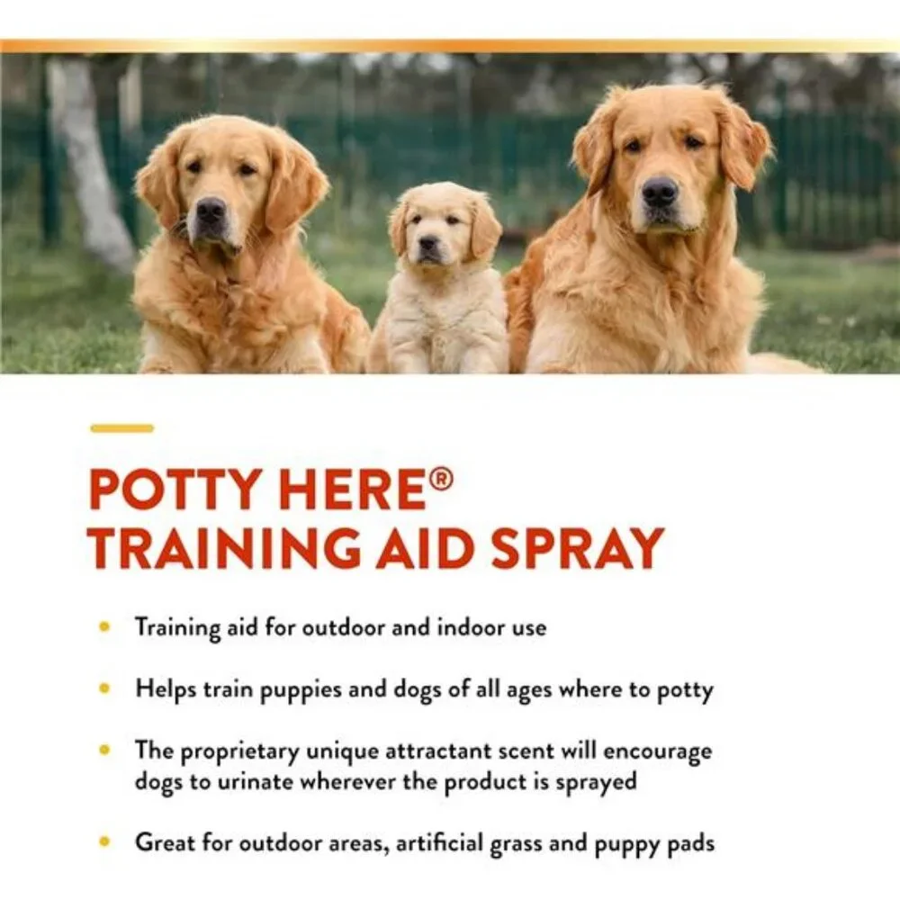 Potty Here Training Aid Spray | Attractive Scent Helps Train Puppies & Dogs
